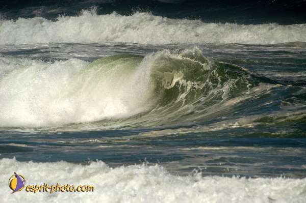 Nom de l'image : Fond_D_Ecran_Ep08-0362 — Description :