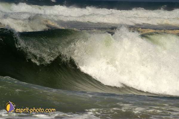 Nom de l'image : Fond_D_Ecran_Ep08-0366 — Description :