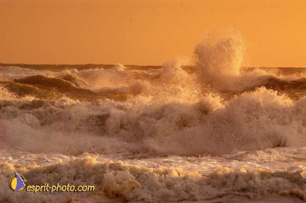 Nom de l'image : Fond_D_Ecran_Ep08-0376 — Description :