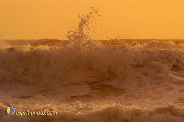 Nom de l'image : Fond_D_Ecran_Ep08-0378 — Description :