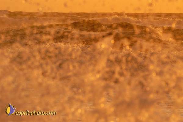 Nom de l'image : Fond_D_Ecran_Ep08-0379 — Description :