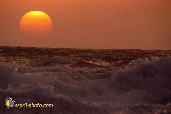 Nom de l'image : Fond_D_Ecran_Ep08-0382 — Description :