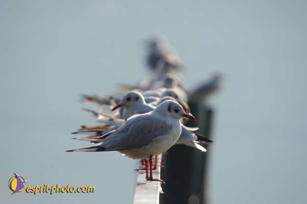 Nom de l'image : Fond_D_Ecran_Ep08-0397 — Description :