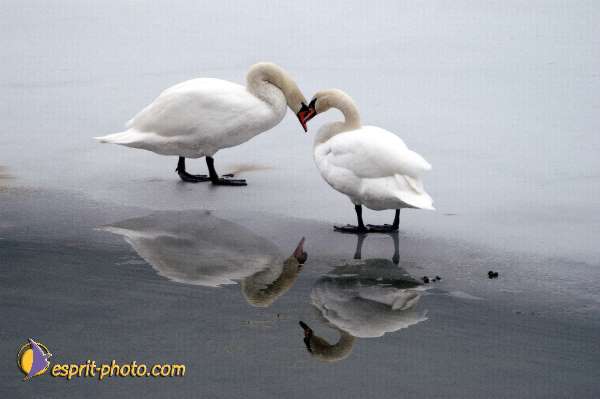 Nom de l'image : Fond_D_Ecran_Ep08-0400 — Description :