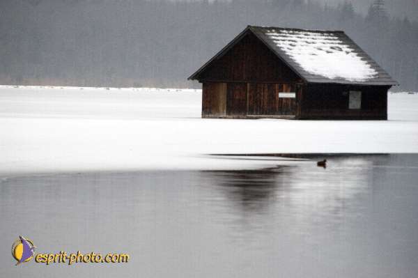 Nom de l'image : Fond_D_Ecran_Ep08-0401 — Description :