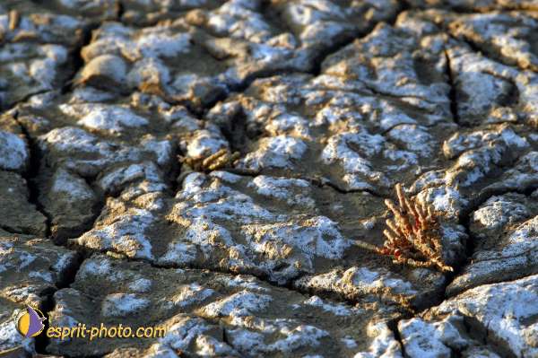 Nom de l'image : Fond_D_Ecran_Ep08-0402 — Description :