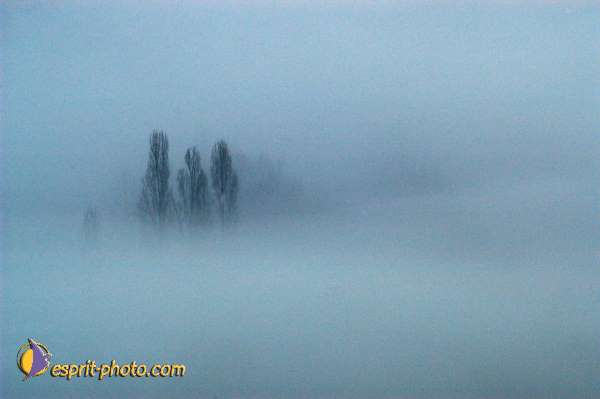 Nom de l'image : Fond_D_Ecran_Ep08-0410 — Description :