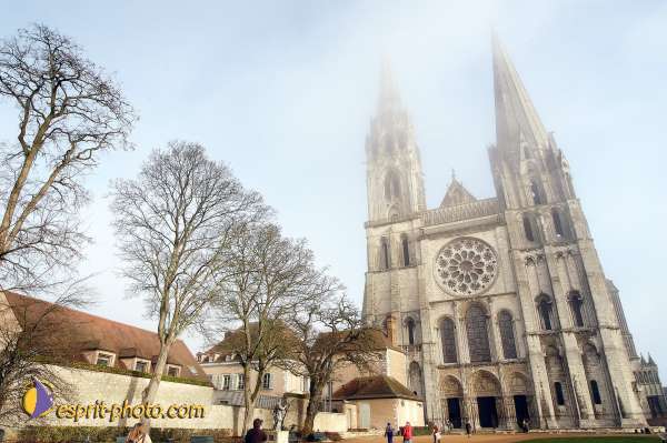 Nom de l'image : D1107469-nef-01 — Description :