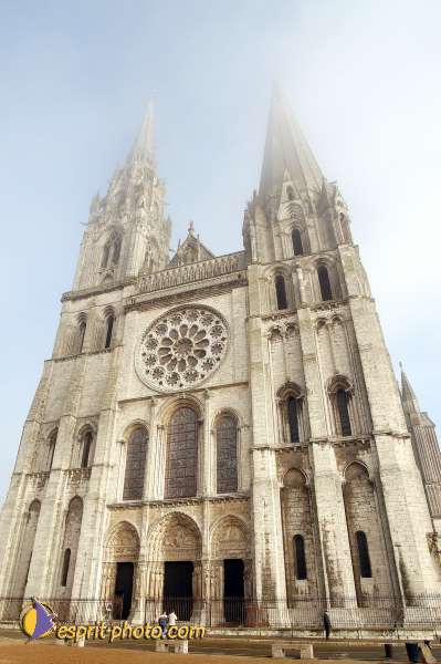 Nom de l'image : D1107472-nef-01 — Description :