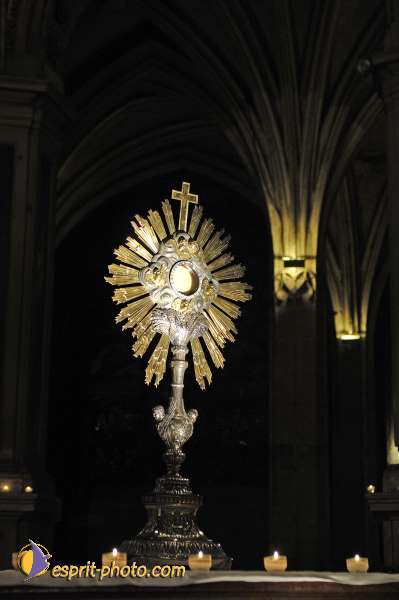 Nom de l'image : D2020968-1 — Description :