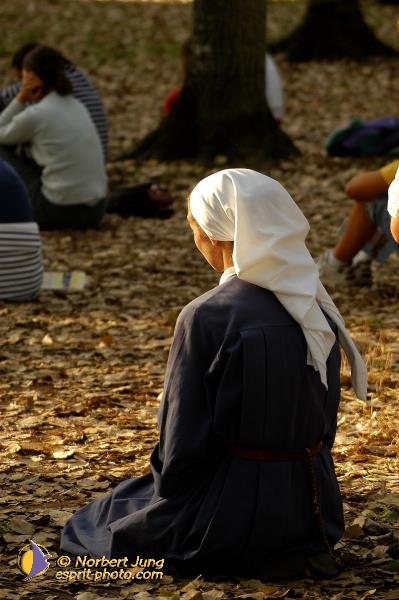 Nom de l'image : D1061746-01 — Description :