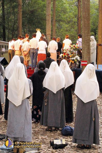 Nom de l'image : D1065041-01 — Description :