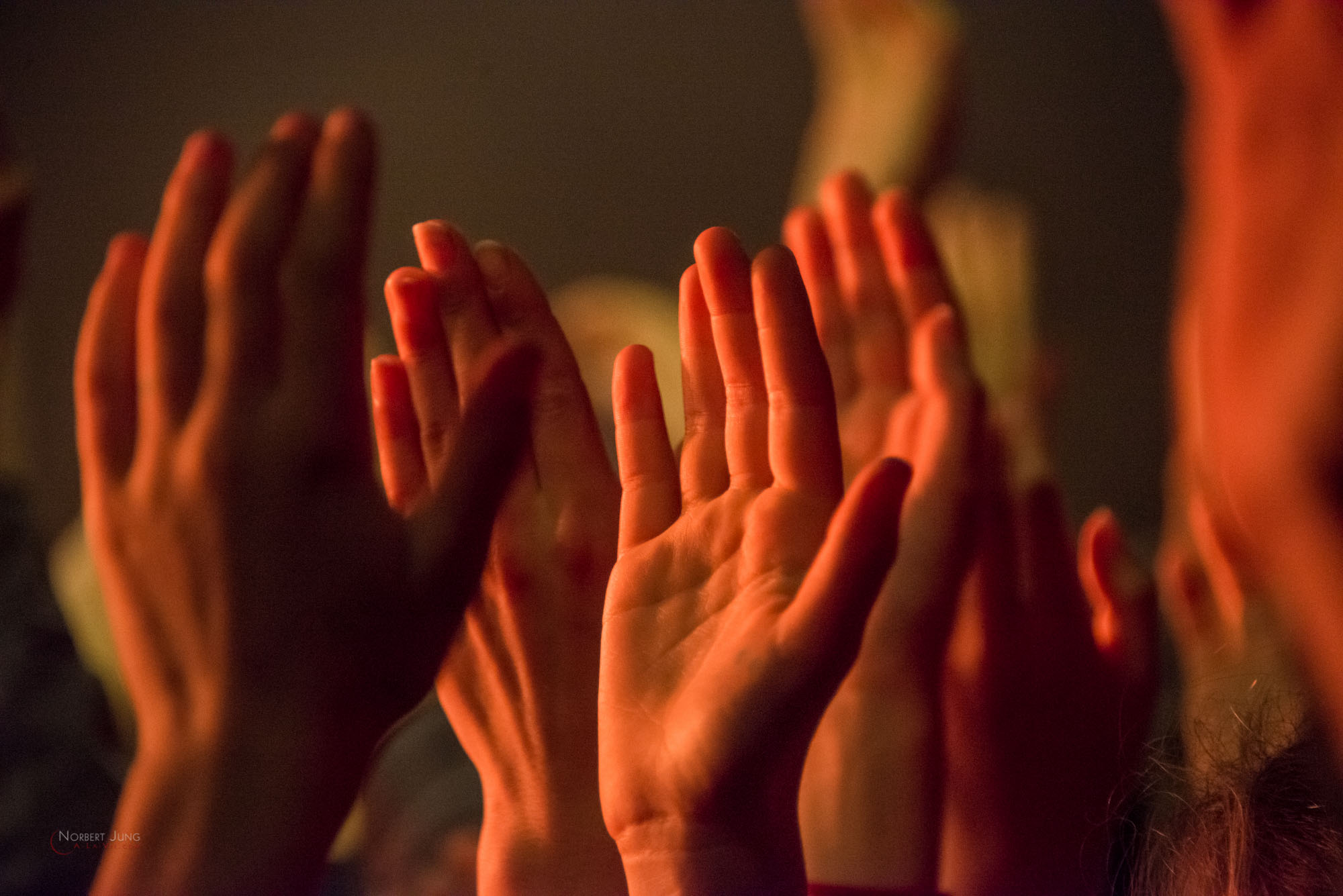 Nom de l'image : 29_20.52.05_D8e089222_A-la-Vie.com — Description :