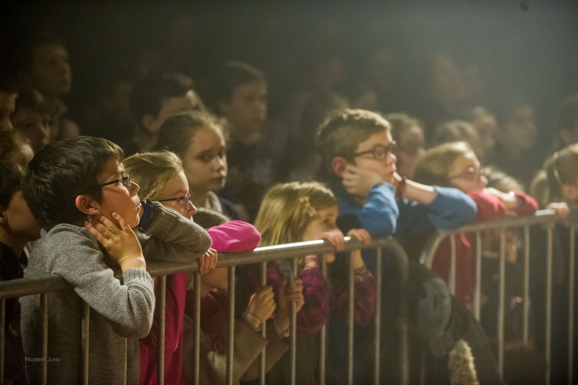 Nom de l'image : 29_21.16.48_D3s124601_A-la-Vie.com — Description :