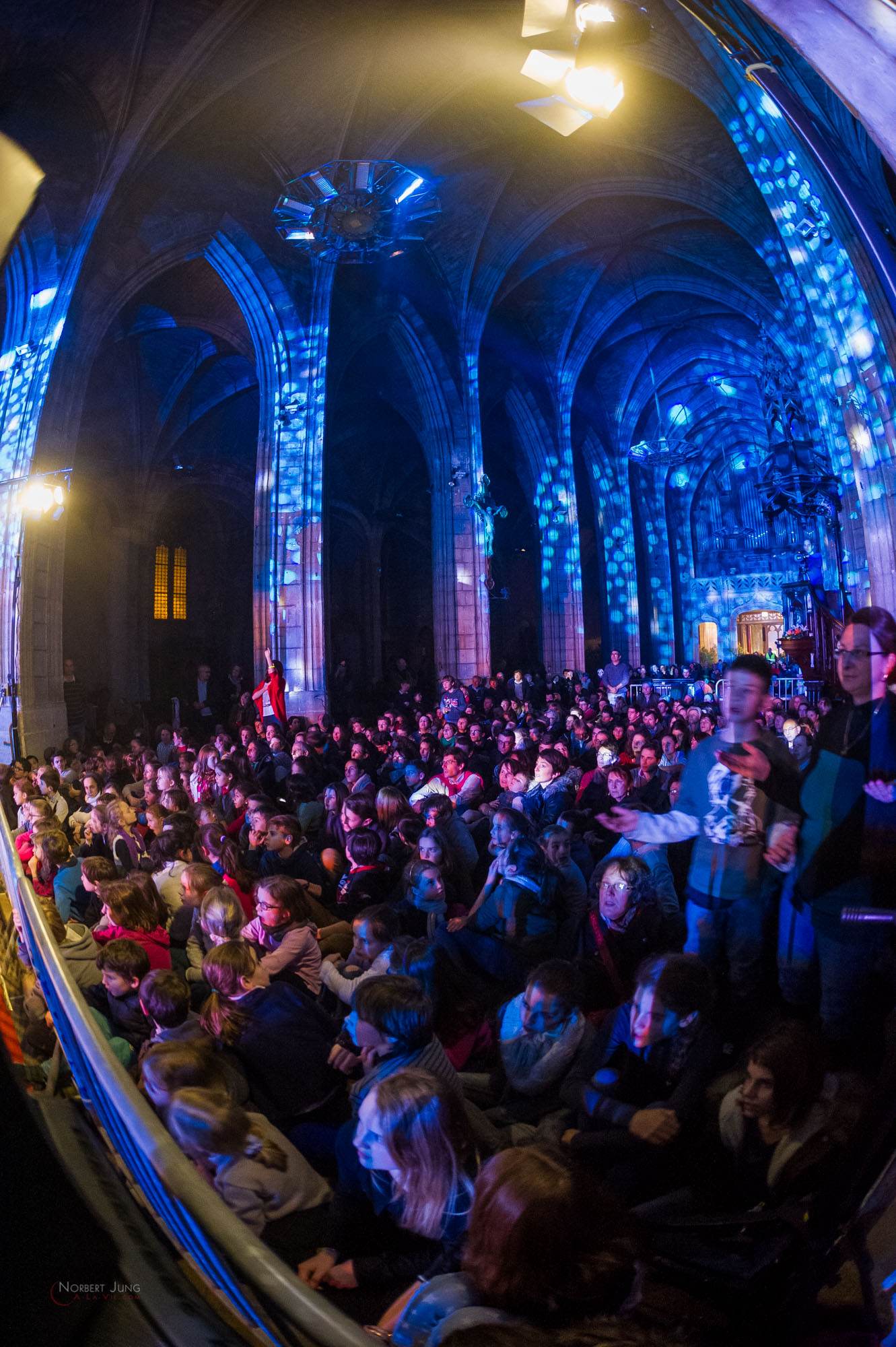 Nom de l'image : 29_21.52.40_D3s124712_A-la-Vie.com — Description :