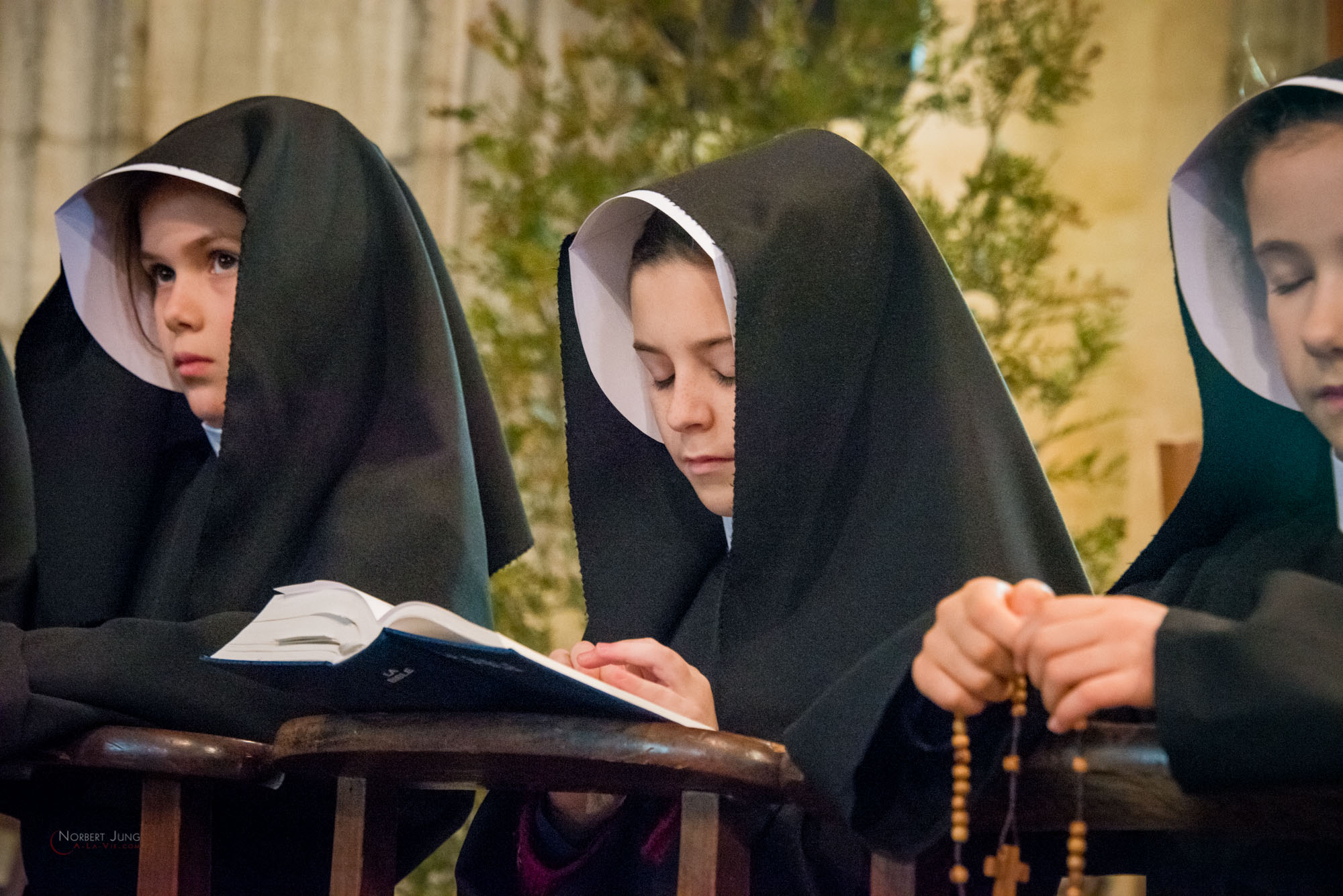 Nom de l'image : 30_10.31.19_D8e089348_A-la-Vie.com — Description :