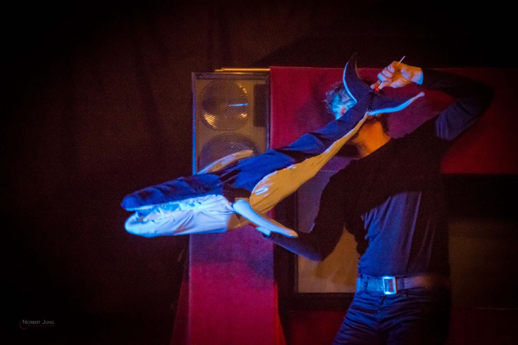 Nom de l'image : 30_19.33.51_D8e089876_A-la-Vie.com — Description :