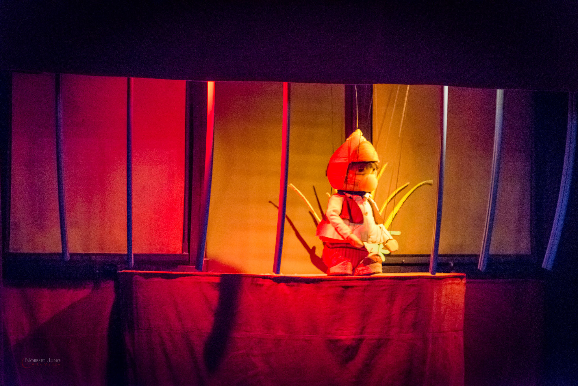 Nom de l'image : 30_19.38.19_D8e089879_A-la-Vie.com — Description :