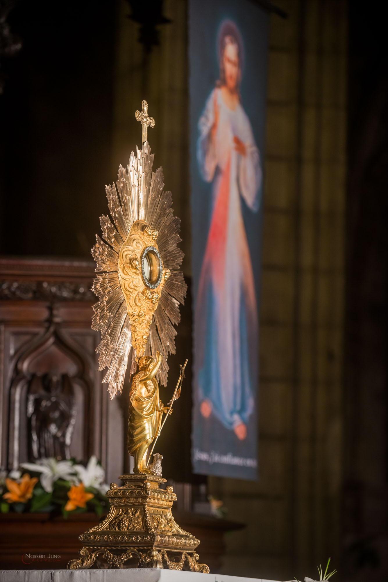 Nom de l'image : 30_23.01.01_D8e089931_A-la-Vie.com — Description :