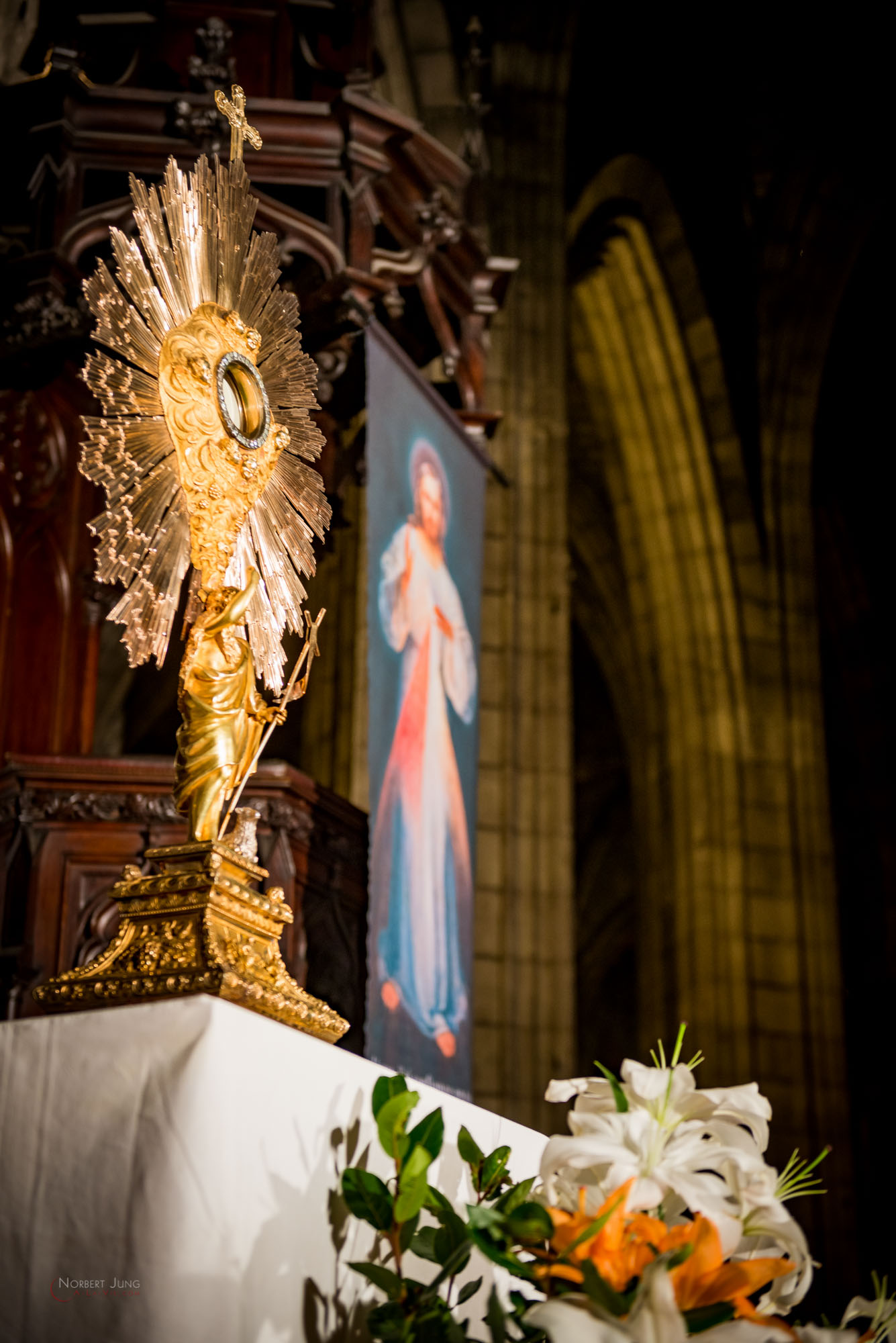 Nom de l'image : 30_23.28.11_D8e089976_A-la-Vie.com — Description :