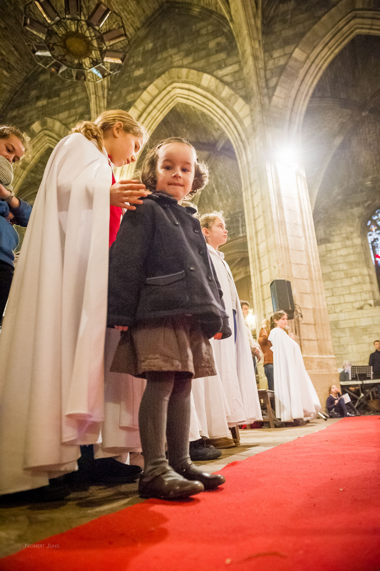 Nom de l'image : 31_16.25.36_D3s126282_A-la-Vie.com — Description :