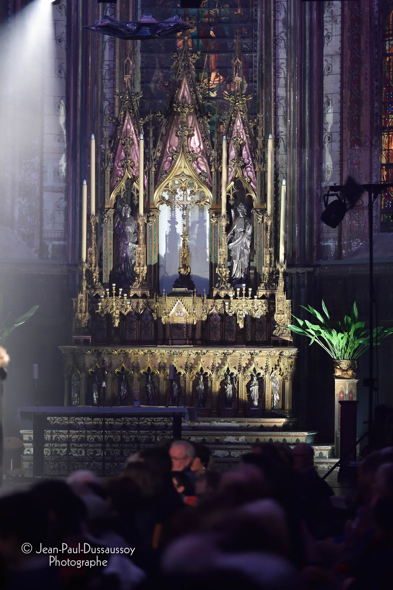 Nom de l'image : 304-D3s135589_1920px — Description :