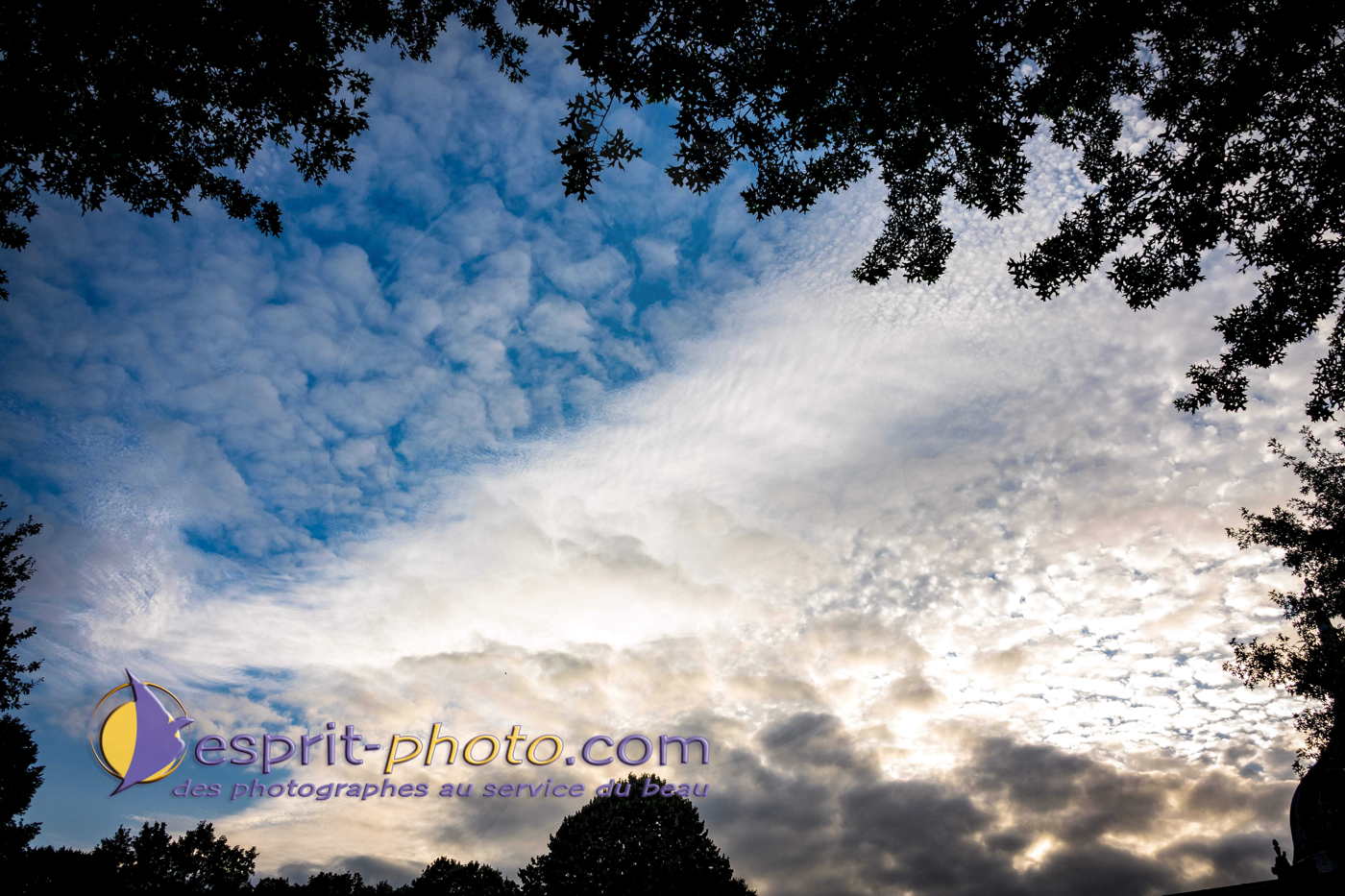 Nature Ciel
