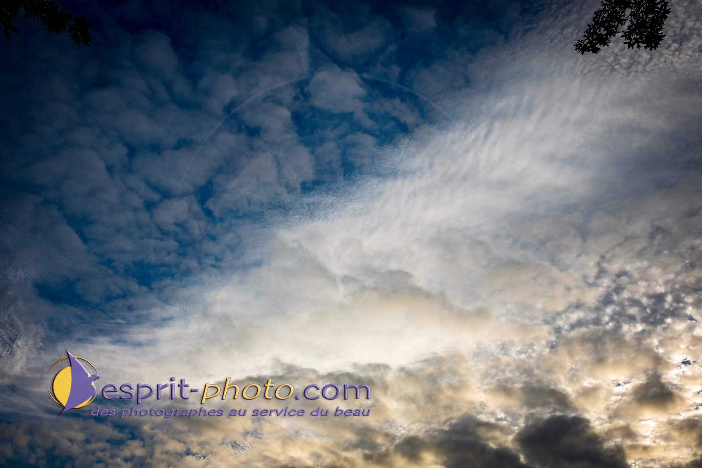 Nom de l'image : 180730-205037_S1093292_Satisfecit-Editions.fr — Description :  S1093292