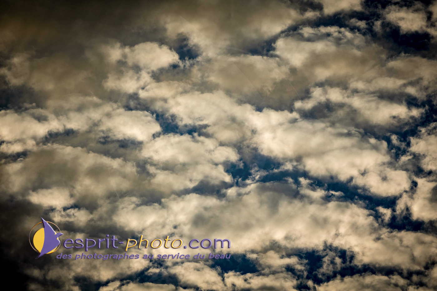 Nom de l'image : 180730-205058_S1093298_Satisfecit-Editions.fr — Description :  S1093298