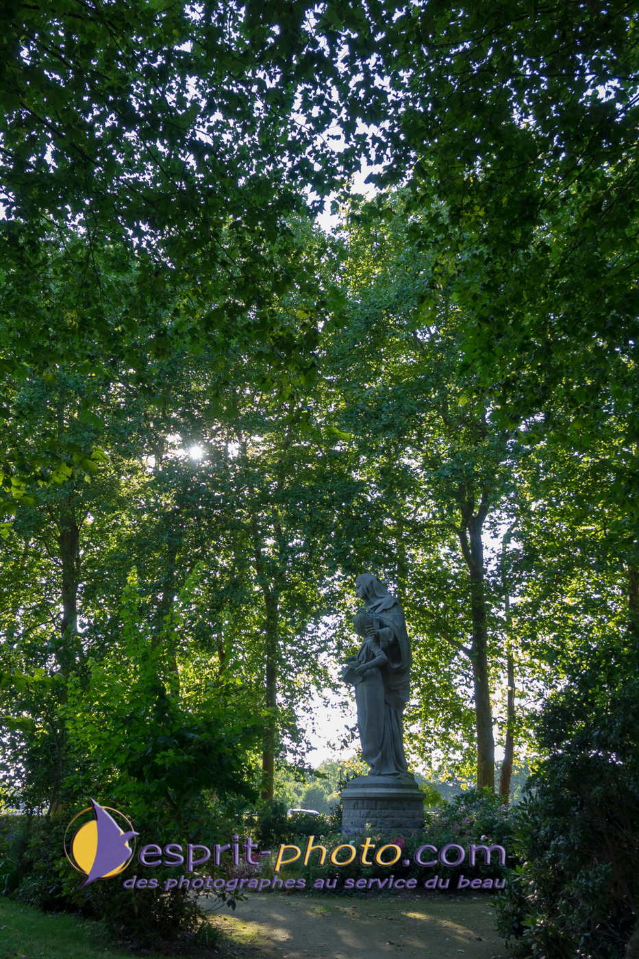 Nom de l'image : 180802-191350_S1095025_Satisfecit-Editions.fr — Description :  S1095025