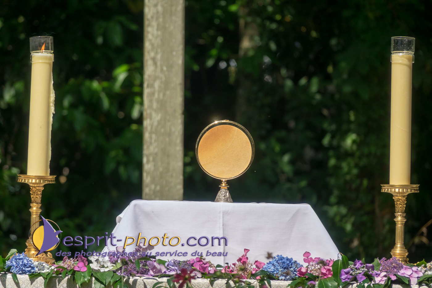 Nom de l'image : 180803-154943_S1095755_Satisfecit-Editions.fr — Description :  S1095755