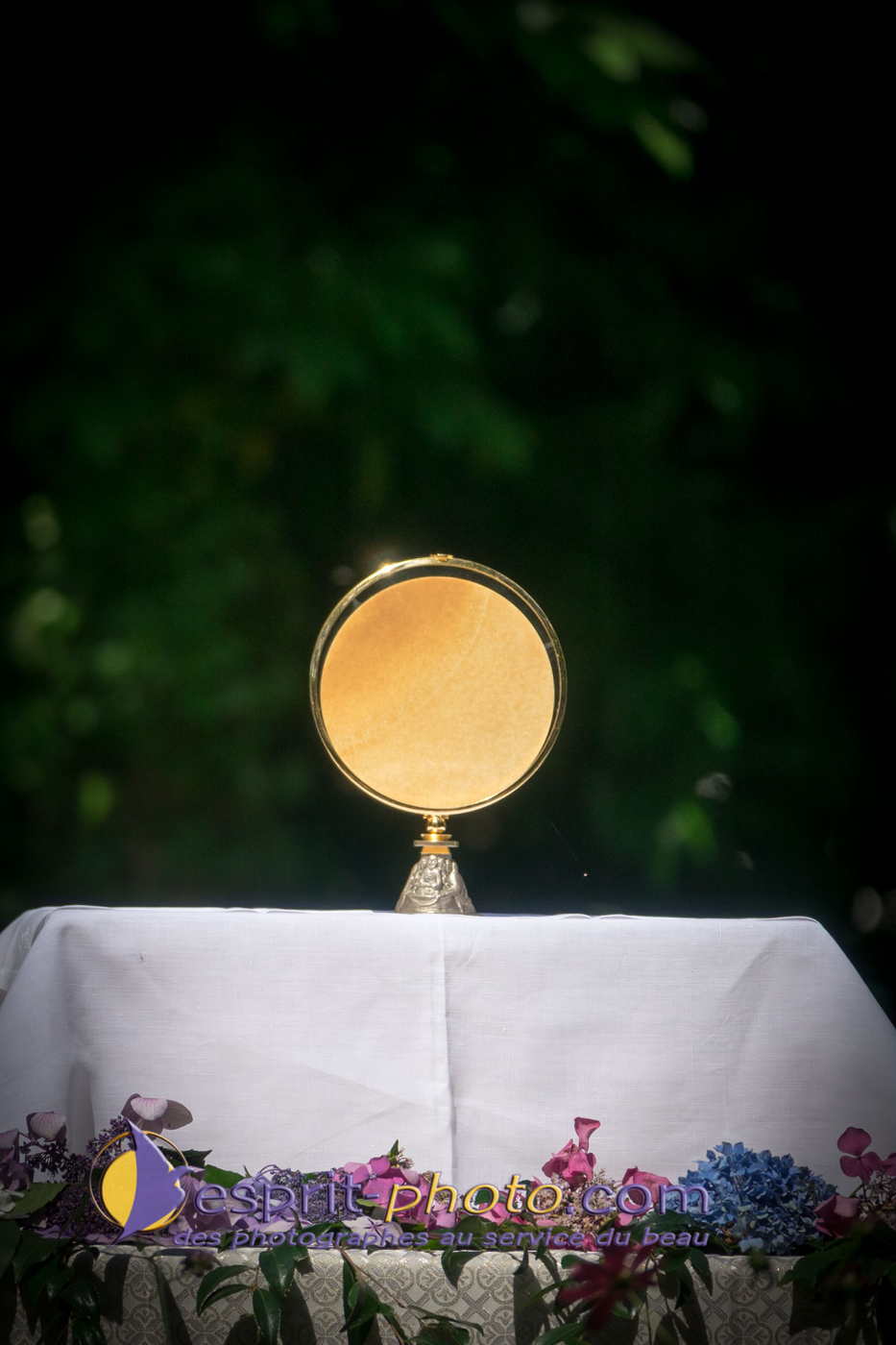 Nom de l'image : 180803-155038_S1095765_Satisfecit-Editions.fr — Description :  S1095765