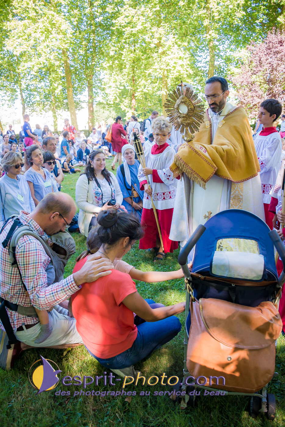 Nom de l'image : 180802-111502_D8e142930_Satisfecit-Editions.fr — Description :  D8e142930