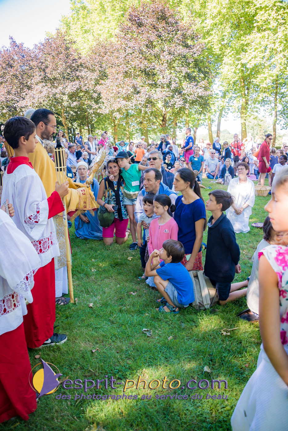 Nom de l'image : 180802-111512_D8e142933_Satisfecit-Editions.fr — Description :  D8e142933