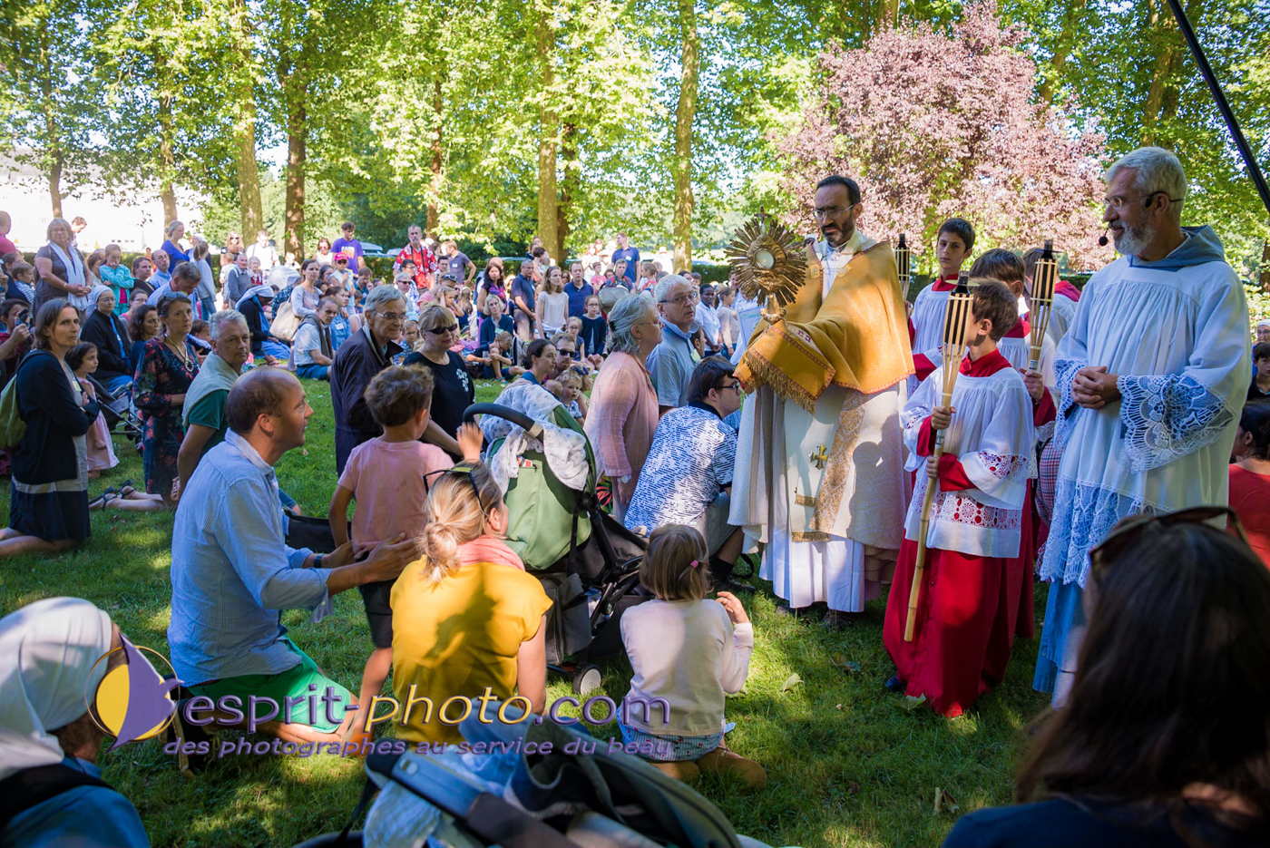 Nom de l'image : 180802-111621_D8e142941_Satisfecit-Editions.fr — Description :  D8e142941