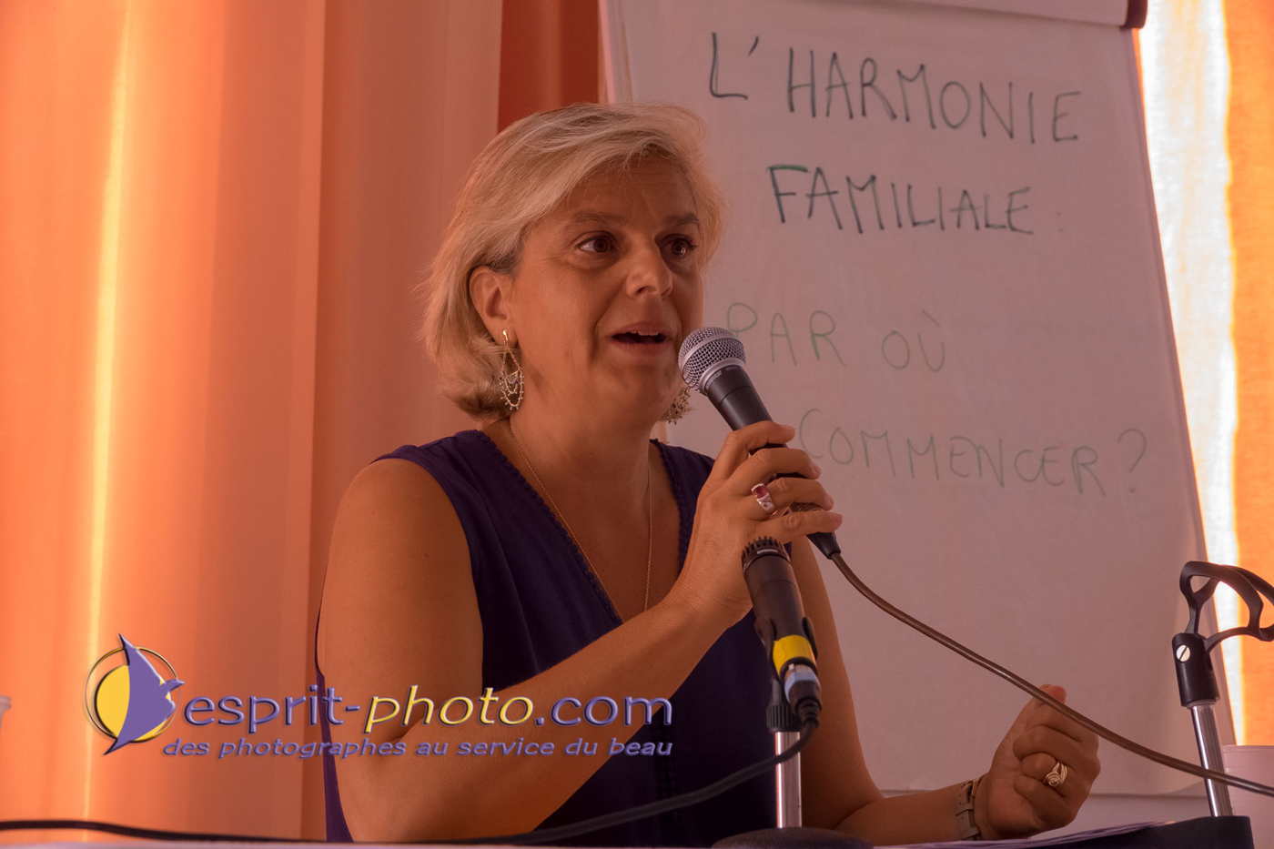 Conference Dominique Desrousseaux