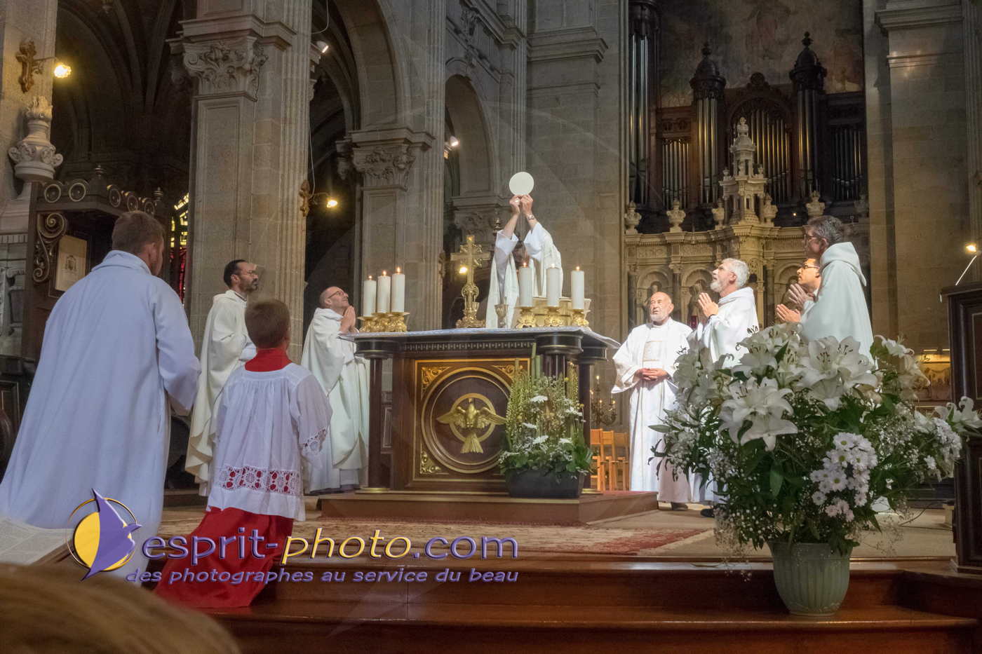 Nom de l'image : 180731-173521_S1093493_Satisfecit-Editions.fr — Description :  S1093493