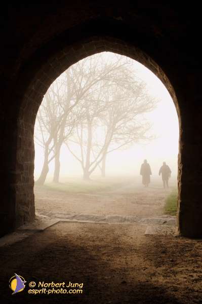 Nom de l'image : D1101474-nef — Description :