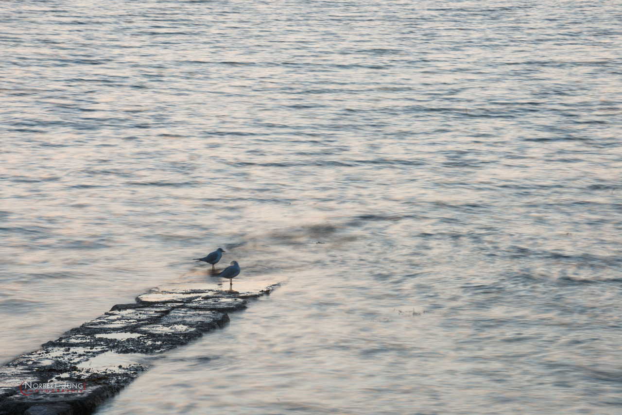 Nom de l'image : D8e047292_(c)A-la-Vie.com — Description :