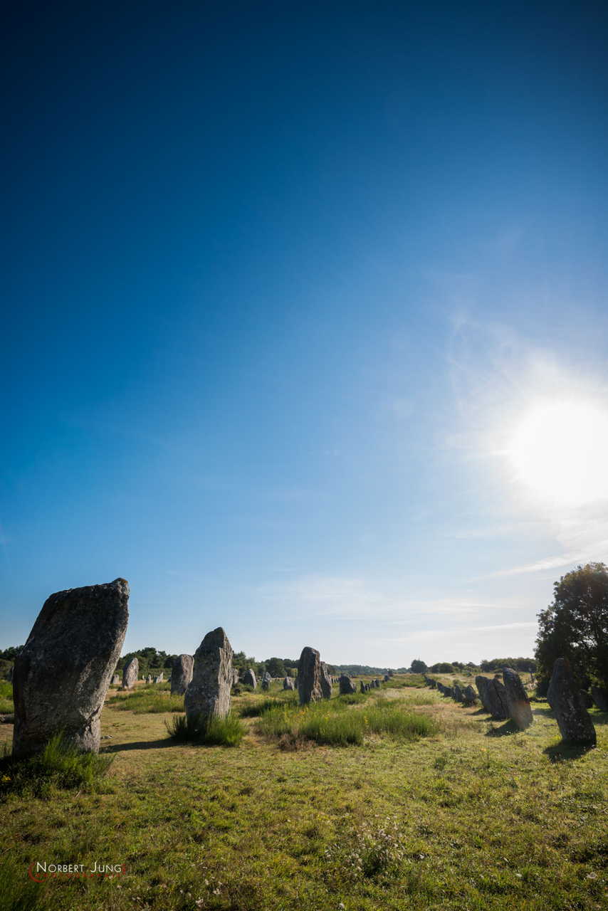 Nom de l'image : D8e047342_(c)A-la-Vie.com — Description :