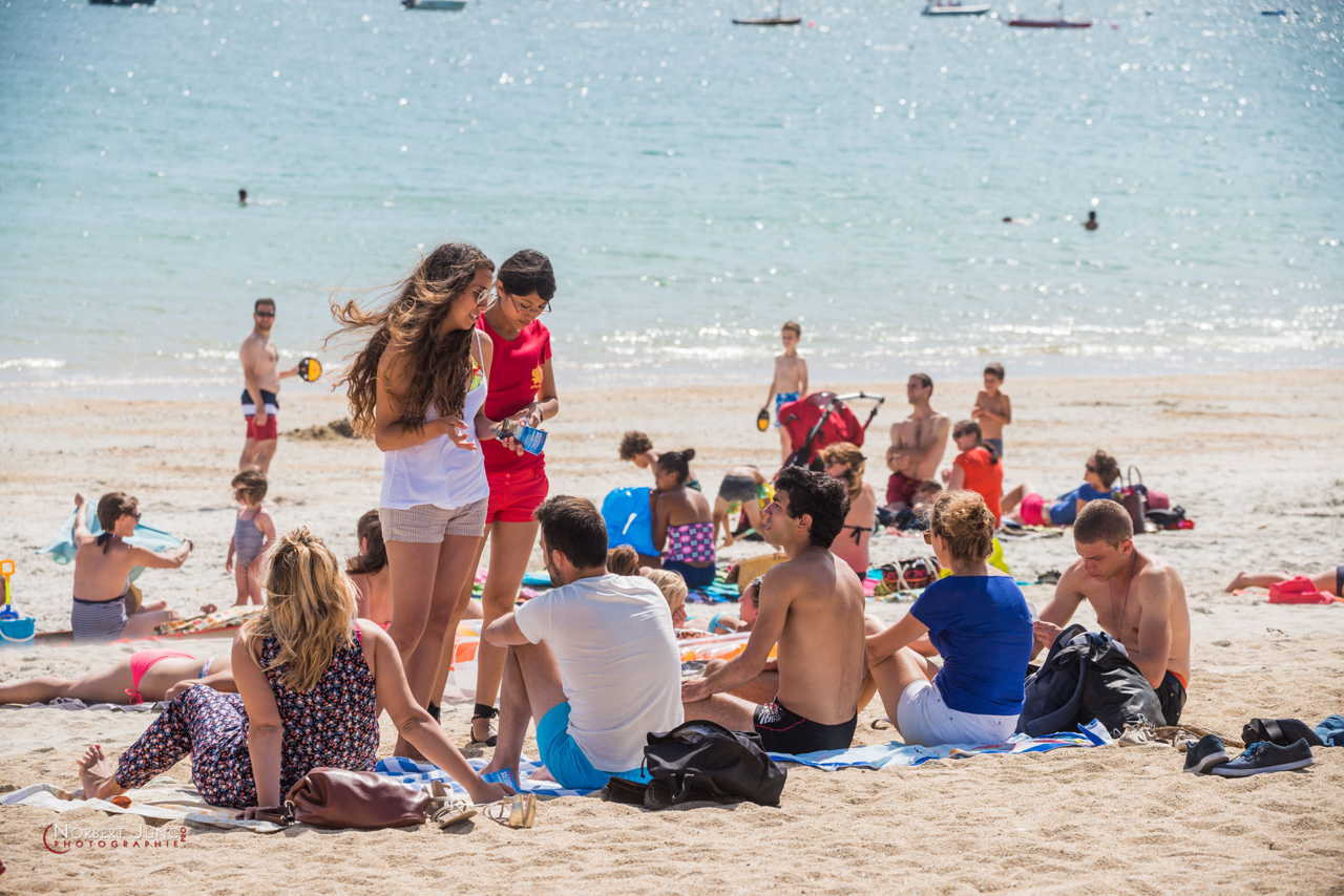 Nom de l'image : D8e048320_(c)A-la-Vie.com — Description :