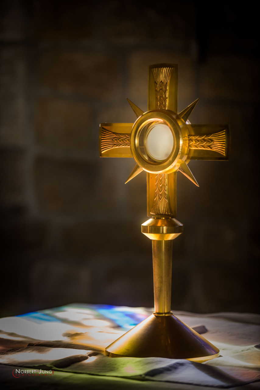 Nom de l'image : D8e048859_(c)A-la-Vie.com — Description :