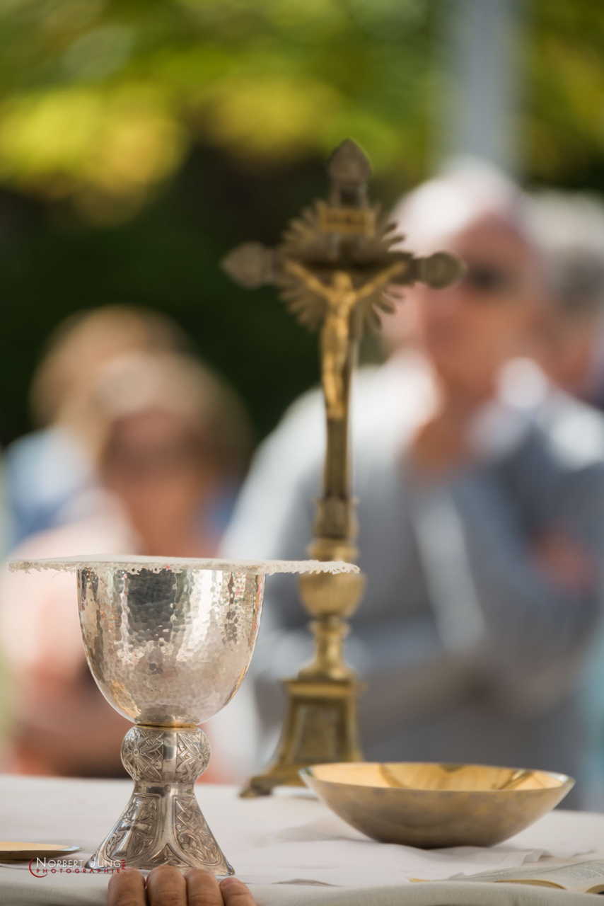 Nom de l'image : D8e048916_(c)A-la-Vie.com — Description :