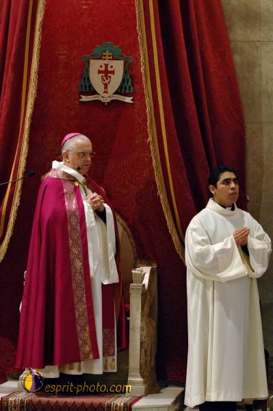 Nom de l'image : D2258559_1 — Description :