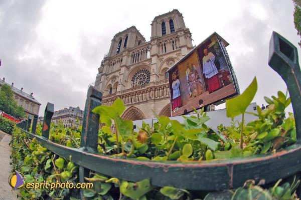 Nom de l'image : D2002813-1 — Description :