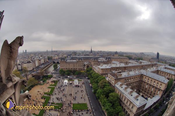 Nom de l'image : D2003030-1 — Description :