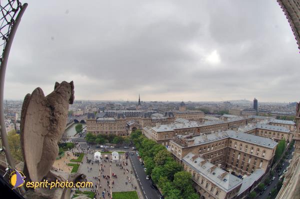 Nom de l'image : D2003043-1 — Description :