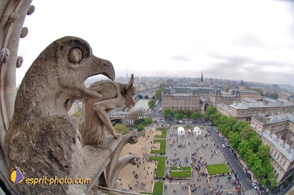 Nom de l'image : D2003107-1 — Description :