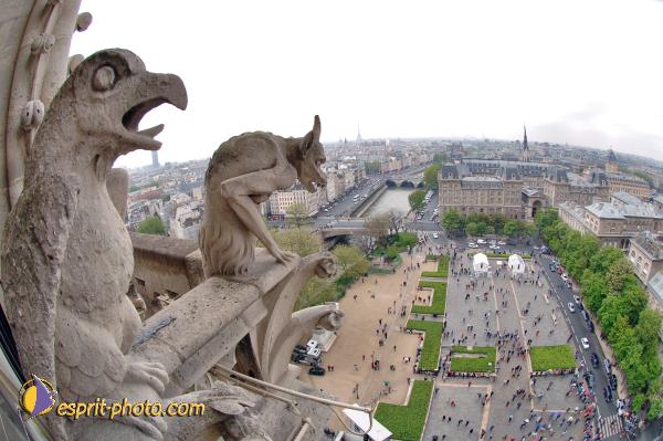 Nom de l'image : D2003115-1 — Description :