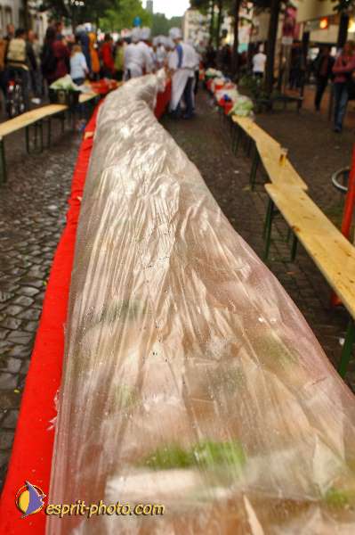 Nom de l'image : D2036060-1 — Description :